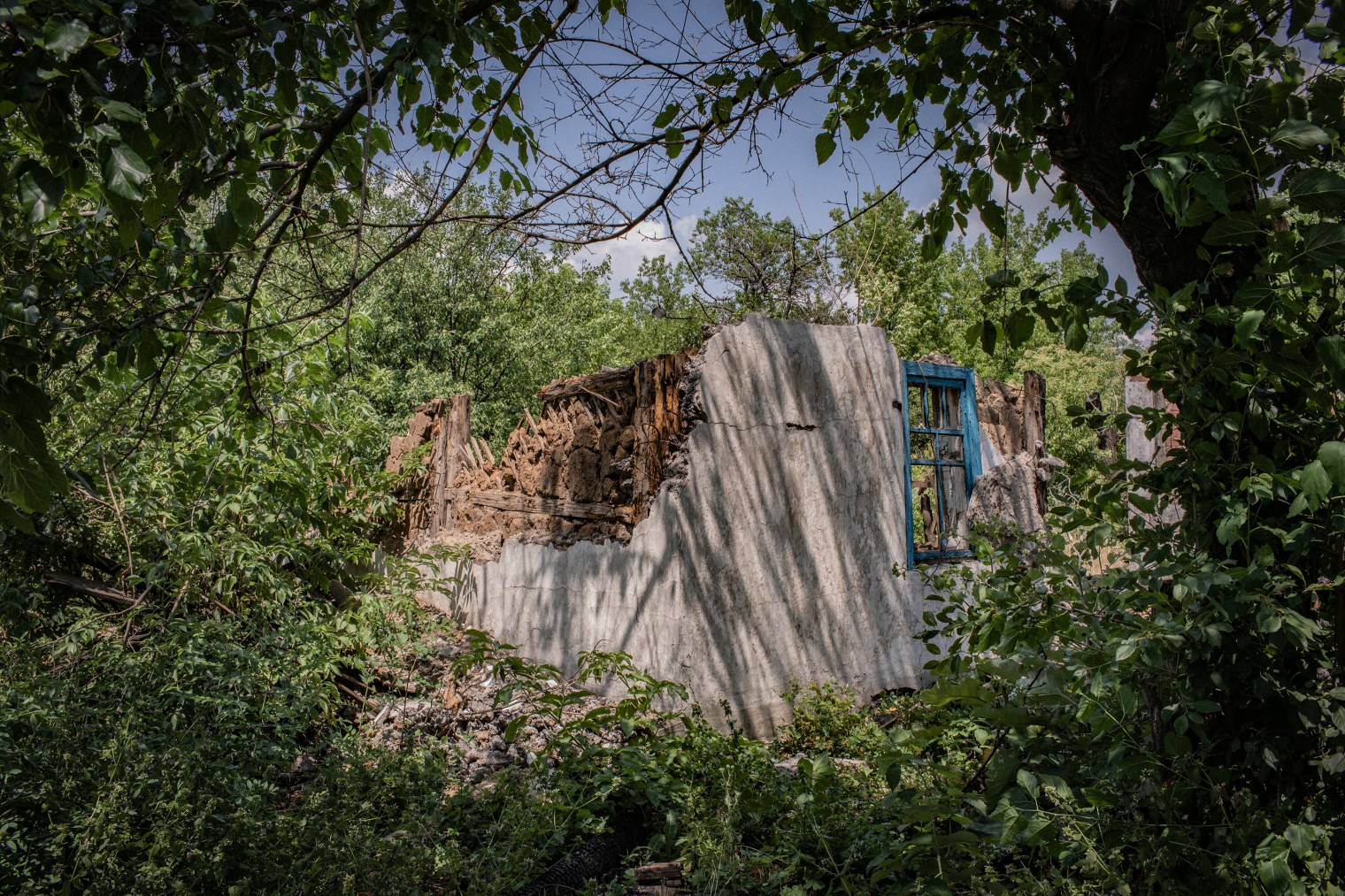 anastasia-taylor-lind-eastern-ukraine-war