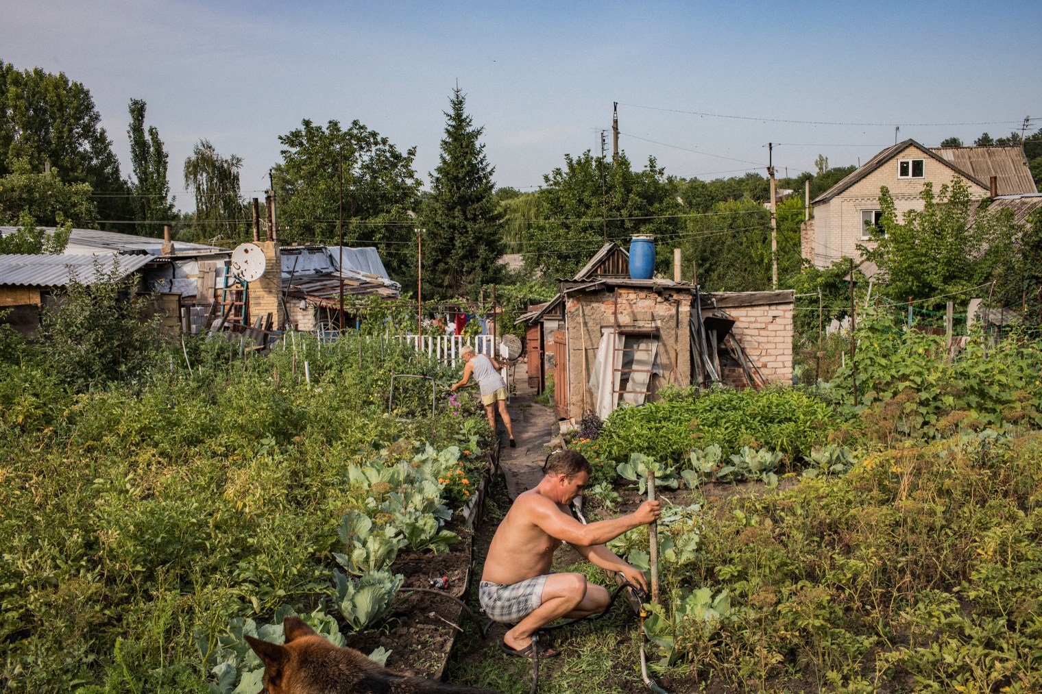 anastasia-taylor-lind-eastern-ukraine-war