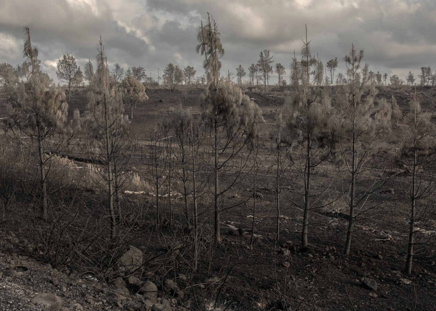 philip-montgomery-paradise-camp-fire