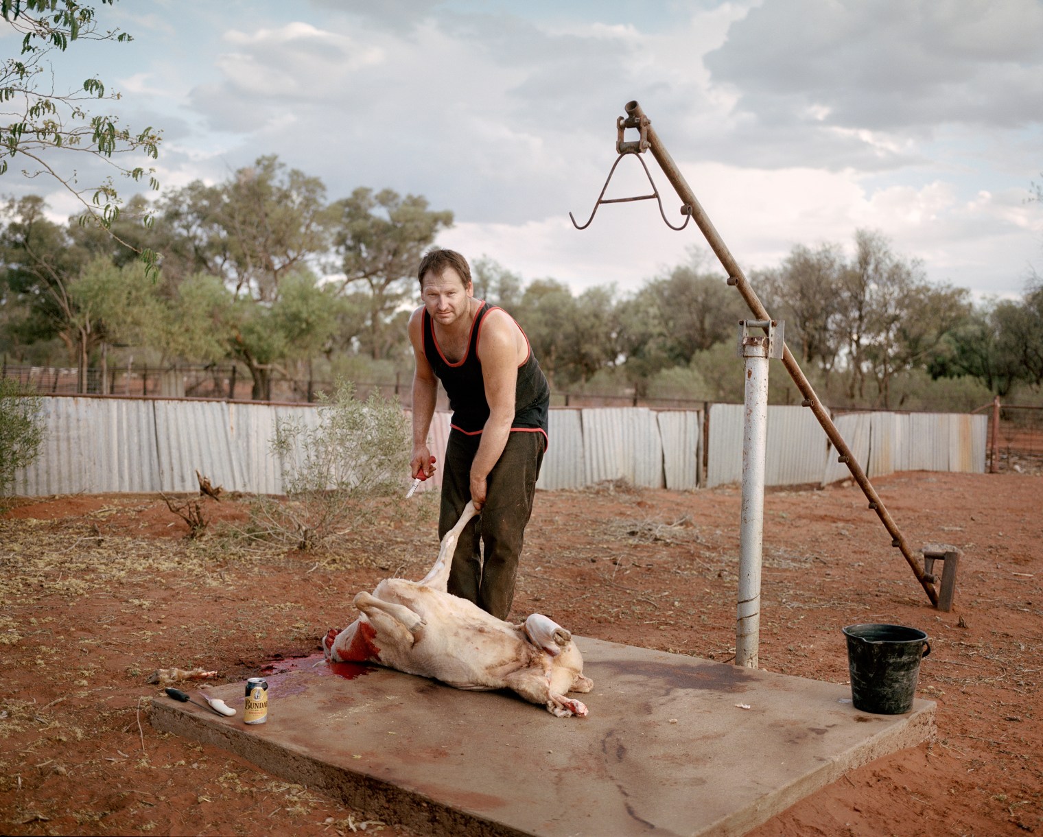 Contract shearer James Tubman slaughters a sheep for food on Turn Turn Station, near Eulo, in Queensland in November.