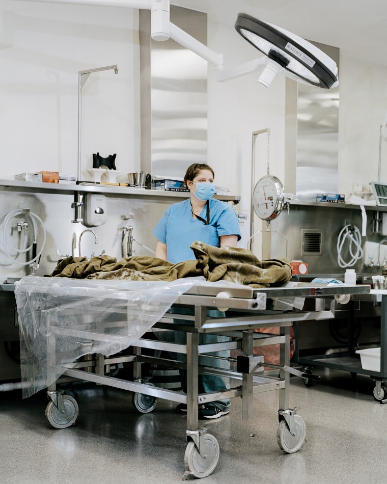 A blanket shields bone fragments at the Army lab in Hawaii where remains are cleaned in December 2018.