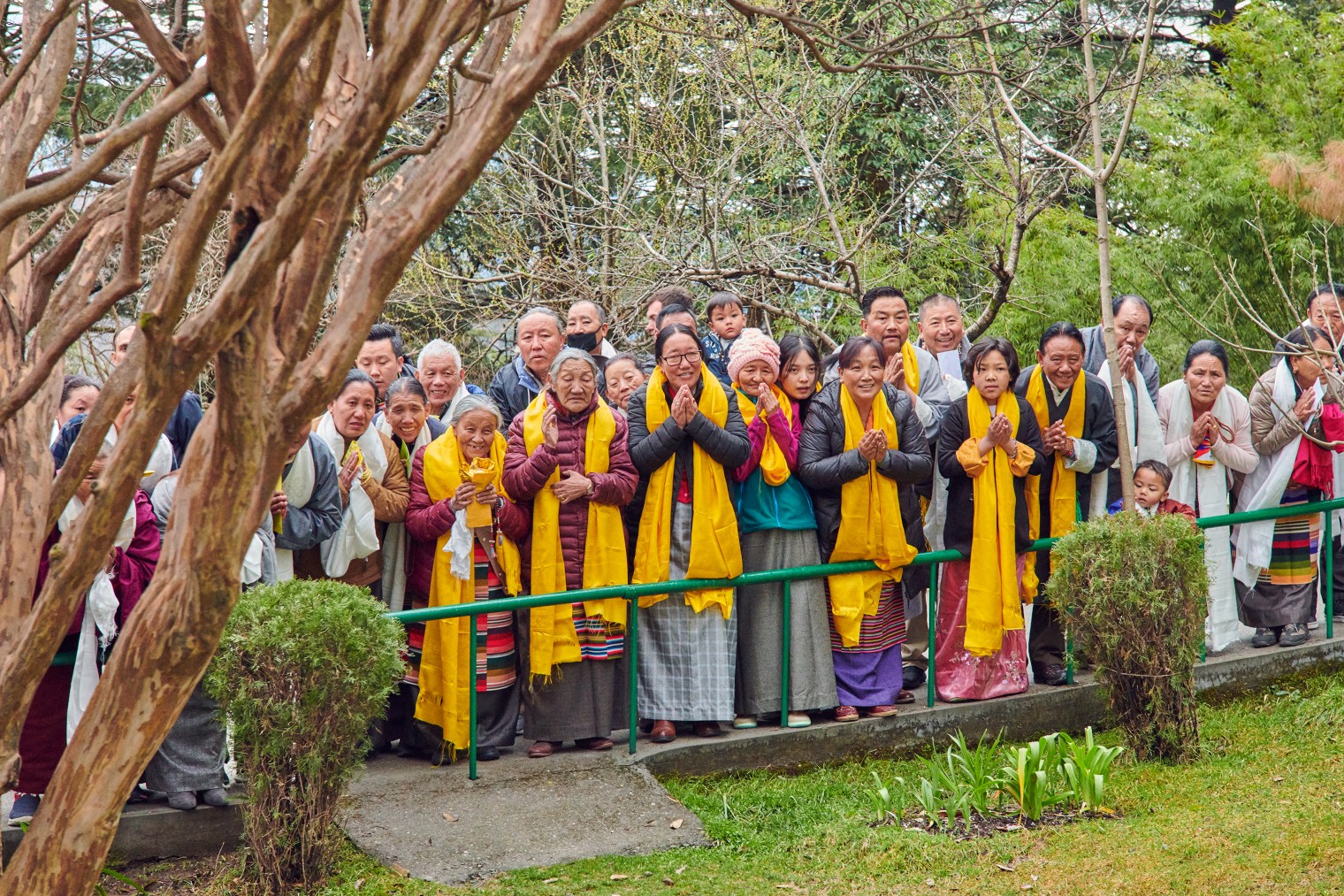 Around 300 devotees line up early at Tsuglagkhang temple on Feb. 18 to offer the Dalai Lama traditional khata scarves and to receive his blessing.